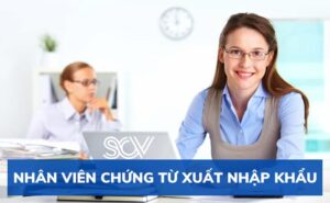 Nhân Viên Chứng Từ Xuất Nhập Khẩu Là Làm Gì