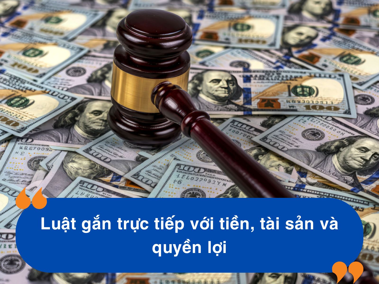 Học LUẬT Có GIÀU Không